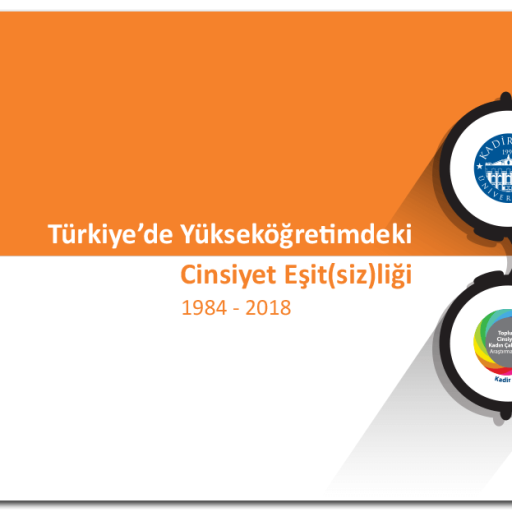 “YÜKSEKÖĞRETİMDE CİNSİYET EŞİT(SİZ)LİĞİ” TÜRKİYE’DE PROFESÖRLERİN %69’U ERKEK, %31’İ KADIN